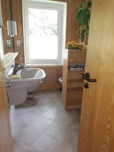 een badkamer met een wastafel, een toilet en een raam bij Alte Innbrücke in Schärding