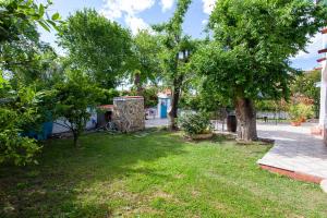 Zahrada ubytování Camere Tirreno 1