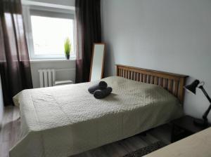1 Schlafzimmer mit 2 Betten und einem Fenster in der Unterkunft Hiiumaa Family Apartments in Kärdla