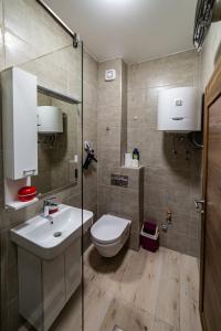 a bathroom with a toilet and a sink and a shower at turisticki apartmani “Kraljeva stolica” in Žabljak