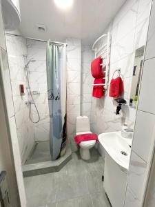 Apartment Studio PARIS 92 في إيربين: حمام مع دش ومرحاض ومغسلة