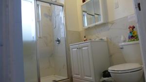 a bathroom with a shower and a toilet at Classical American House 4 in Brooklyn +22 photos