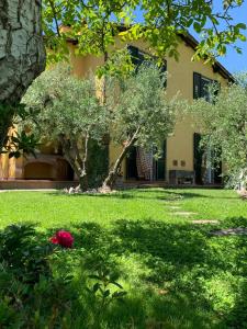 Gallery image of B&B I Ligustri in Lucca