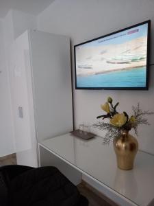 TV a/nebo společenská místnost v ubytování Garfild 1 Guest House + 12 fotografií