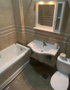 コンスタンツァにあるThe View Apartmentのバスルーム(洗面台、トイレ、バスタブ付)