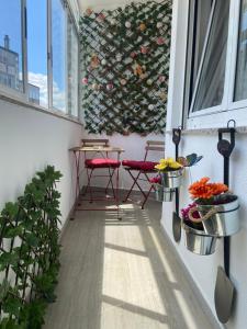 Gallery image of Apartamento Centro Frente Muralla 2 in Lugo