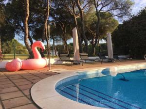 Bazén v ubytovaní VILLA DE LA LUZ Luxury Guesthouse alebo v jeho blízkosti