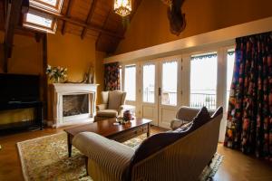 a living room with couches and a fireplace at Villa Veertien in Dieren +41 photos