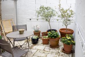 un grupo de plantas en macetas sentadas en un patio en LES URSULINES Centre Historique de BAYEUX en Bayeux