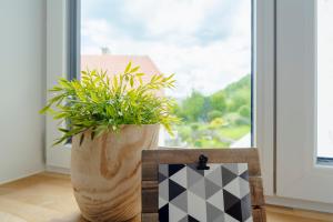 Foto sihtkohas Spitz asuva majutusasutuse Perfektes Appartement für Erholung in der Wachau!! galeriist