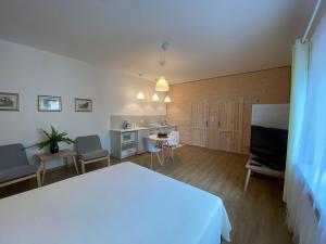 Habitación con cama, cocina y sala de estar. en Miły Apartament en Ustrzyki Dolne