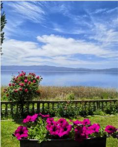 Imagen de la galería de Villa Stefan, en Ohrid