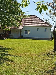 a white house with a grassy yard in front of it at Víz-Party vendégház in Dunasziget