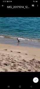 Fotografie z fotogalerie ubytování Appartamento in zona residenziale v destinaci Orosei