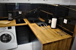 um balcão de cozinha com um lavatório e uma máquina de lavar roupa em Apartament przy Arsenale em Breslávia