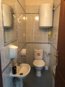 a bathroom with a toilet and a sink at Apartmán na čerpací stanici RoBiN OIL Rýmařov in Rýmařov
