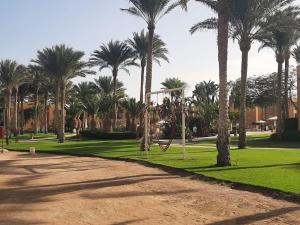 a park with palm trees and a basketball hoop at Chalet at Stella Di Mare Makadi Bay in Hurghada