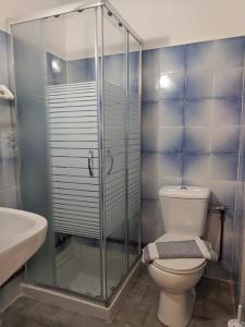 a bathroom with a toilet and a glass shower at Pension Irene in Sougia