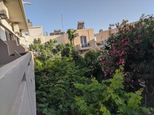 a bunch of plants on the side of a building at Pension Irene in Sougia