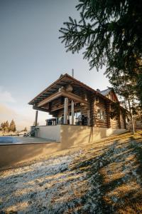 una cabaña de madera con un árbol delante en "Шале Олень", en Yablunytsya