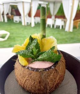 un morceau de noix de coco avec un bâton vert dans l'établissement Hotel Tancat de Codorniu, à Les Cases d'Alcanar