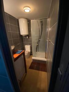 een badkamer met een douche en een toilet bij Verdun in Mantes-la-Jolie