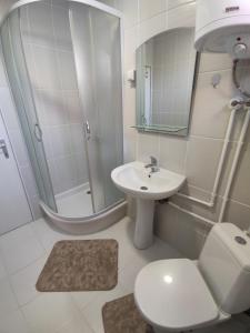 La salle de bains est pourvue de toilettes, d'un lavabo et d'une douche. dans l'établissement soko-veljkovic-apartman, à Sokobanja