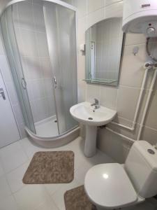 a bathroom with a toilet and a sink and a shower at Soko-Veljkovic-apartman in Soko Banja +9 photos