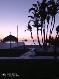 a sunset at the beach with palm trees at Los Nidos Sea Pretty&Beach- La Carihuela in Torremolinos