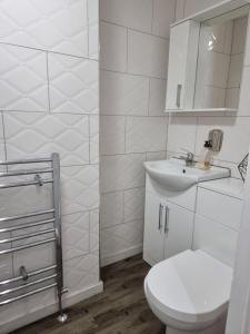 La salle de bains blanche est pourvue de toilettes et d'un lavabo. dans l'établissement Strathbungo Studios, à Glasgow