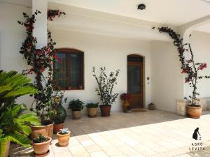 een binnenplaats met potplanten in een gebouw bij Agro Levità in Locorotondo