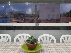 une plante en pot assise sur une table avec des chaises blanches dans l'établissement Apto para até 6 pessoas, 600 metros da Basílica, à Aparecida