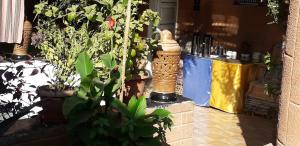 a group of potted plants in a room at Happy Land Luxor in Luxor