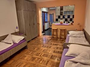 Habitación con 2 camas y cocina. en Apartman Ristic en Niška Banja