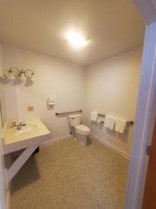 a bathroom with a toilet and a sink at Bayview Lakefront Inn in Saint Ignace