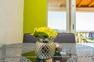 Fotografie z fotogalerie ubytování Apartments Marko Dominik v destinaci Ražanac