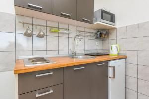 Kuchyň nebo kuchyňský kout v ubytování Apartments Marko Dominik