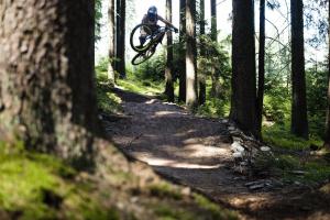 Jízda na kole v ubytování Apartmán Lipno A12 nebo okolí