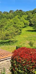 a bush with red flowers next to a house at Hotel A Forxa Cafetería Restaurante in Carballeira