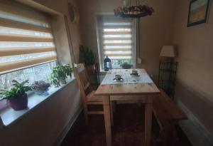 een houten tafel en stoelen in een kamer met een raam bij Ferienhaus Hofmann in Lutherstadt Eisleben