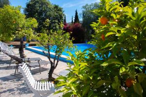 een zwembad met een witte bank en een sinaasappelboom bij Bohemian Villa - Málaga in Alora