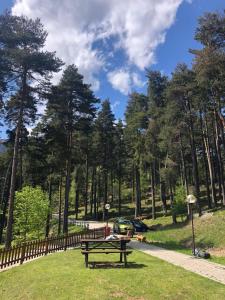 een park met een bank, een hek en bomen bij La Locanda Della Pineta in Bertonio