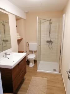 a bathroom with a shower and a sink and a toilet at Apartments Gina in Piran