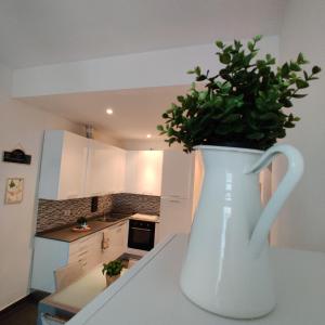 A kitchen or kitchenette at Vista sul carruggio, centro storico di Chiavari