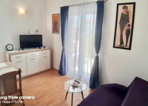 Televízia a/alebo spoločenská miestnosť v ubytovaní Marinela