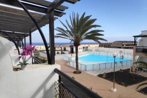 a resort with a swimming pool and a palm tree at Apartamento SUMMER Complex Amaya Fuerteventura in Costa de Antigua +14 photos