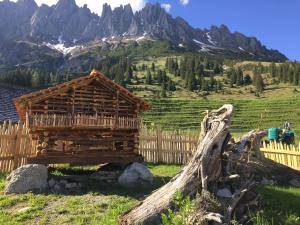 uma cabana de madeira num campo com uma montanha em Berghotel Arthurhaus em Mühlbach am Hochkönig