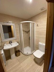 W łazience znajduje się prysznic, toaleta i umywalka. w obiekcie Camino del Norte vivienda turística ubicada en Pobeña w mieście Poveña