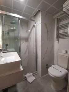 a bathroom with a shower and a toilet and a sink at Temizay Hotel in Çanakkale
