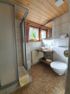 Haus Alpengruß tesisinde bir banyo